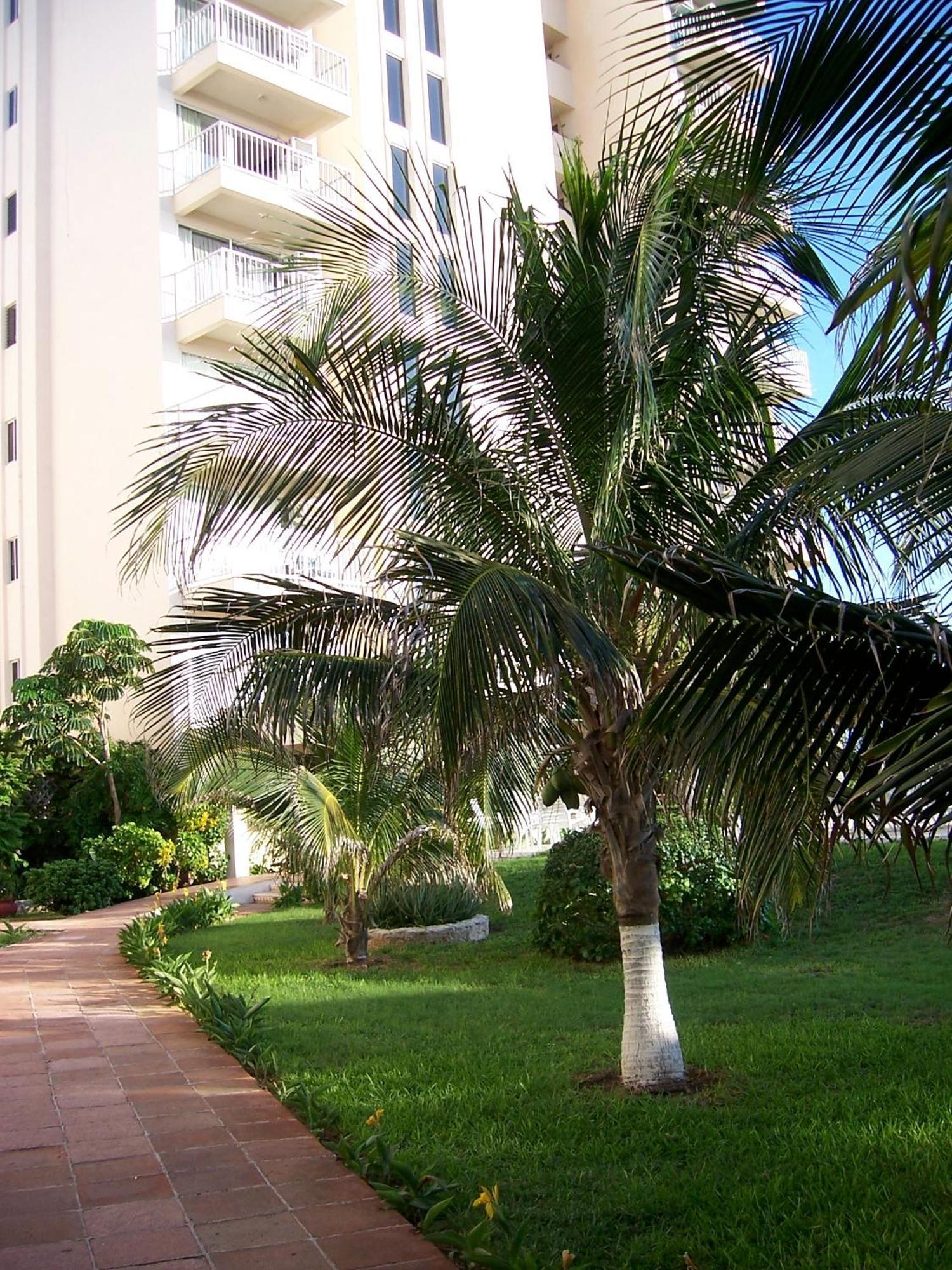 Salvia Cancun Aparts Exteriér fotografie